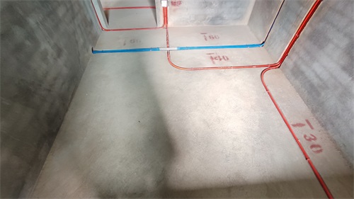 IMG_20201024_101525.jpg