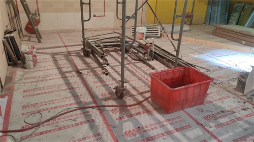 IMG_20201023_092553.jpg