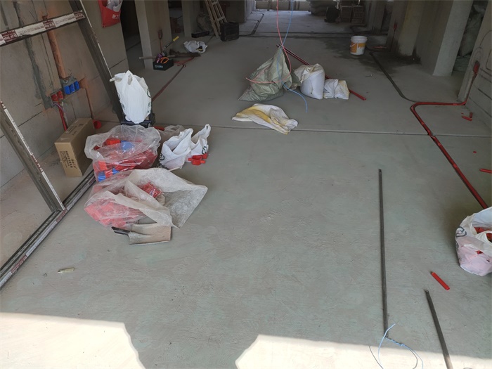 IMG_20201020_101202.jpg