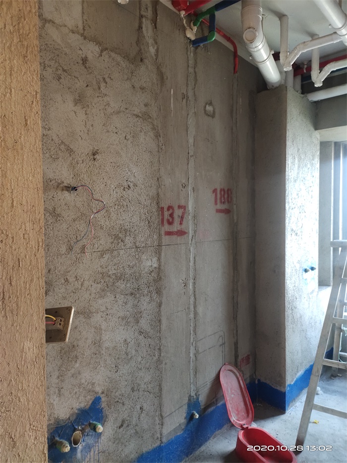 IMG_20201028_130207.jpg