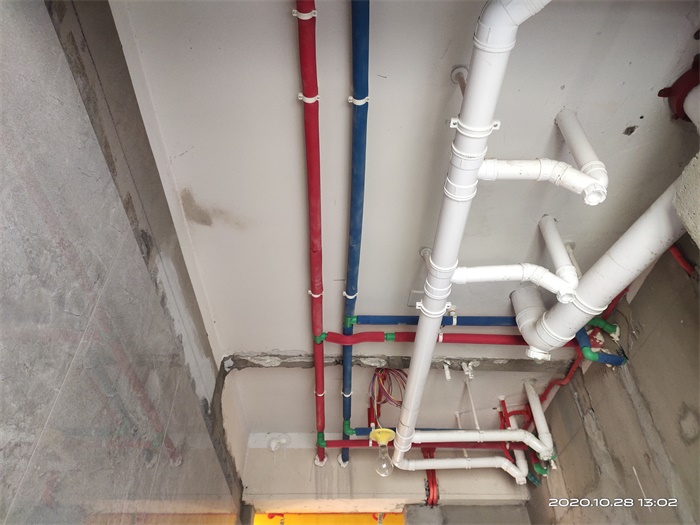 IMG_20201028_130228.jpg