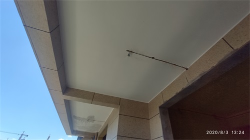 IMG_20200803_132407.jpg