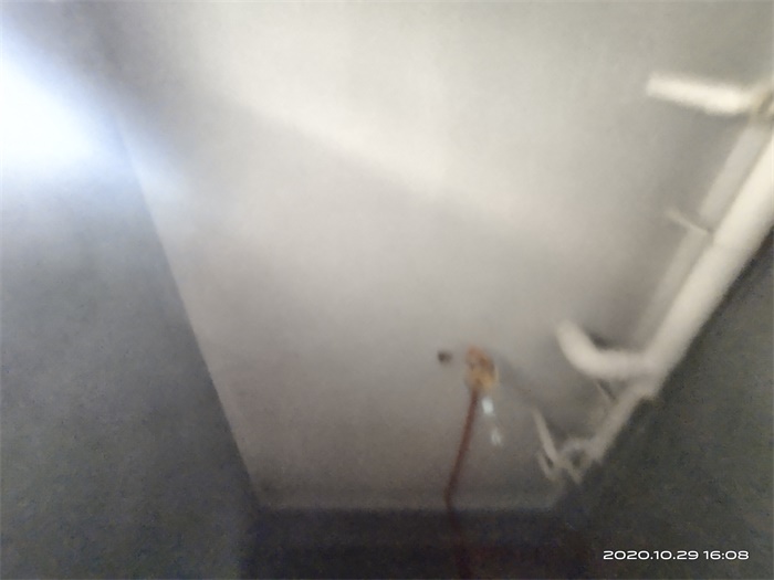 IMG_20201029_160834.jpg