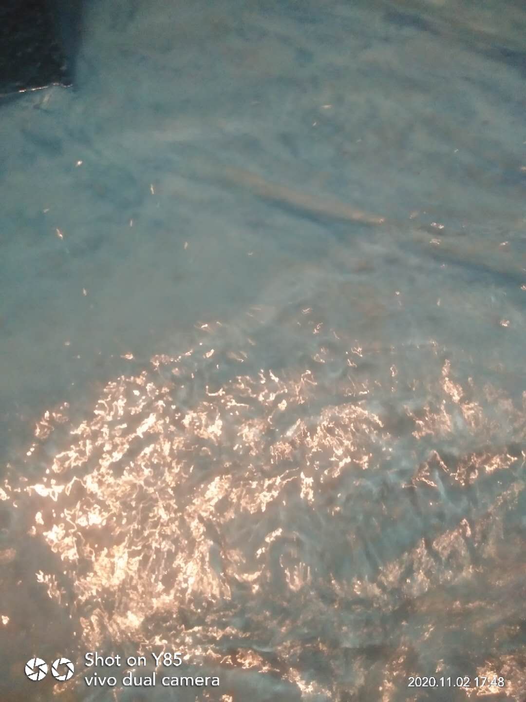 21b32231b4aae477480ddeb01dd7493.jpg