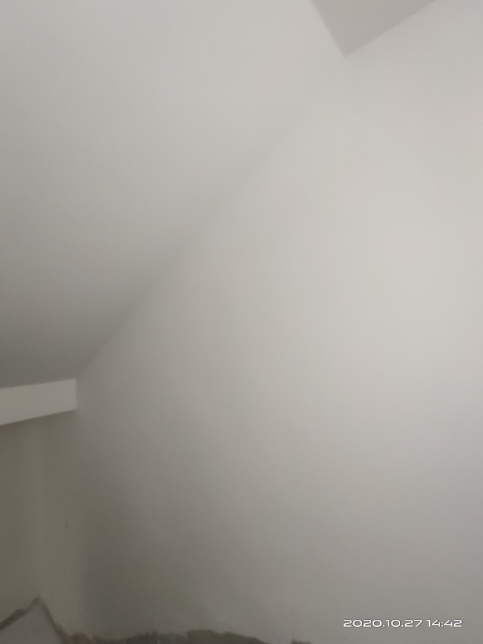 IMG_20201027_144206.jpg