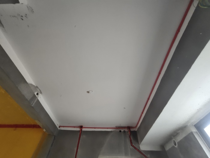 IMG_20201101_161617.jpg