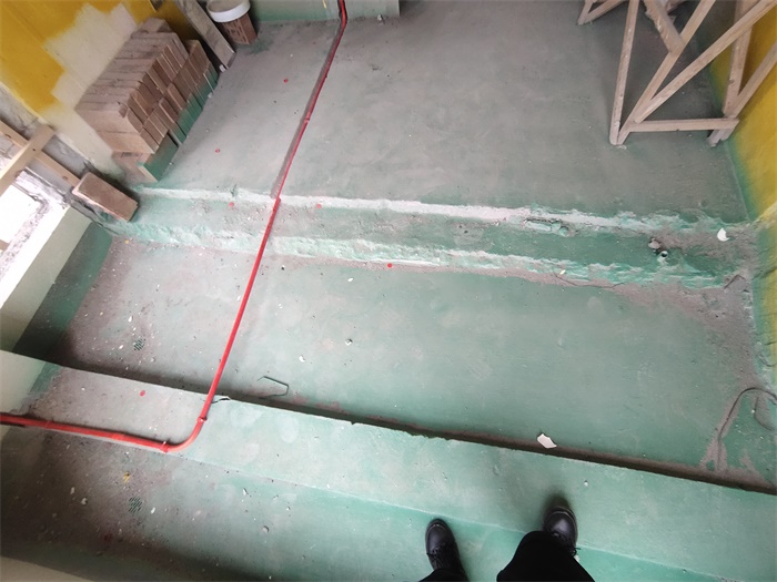 IMG_20201101_161946.jpg