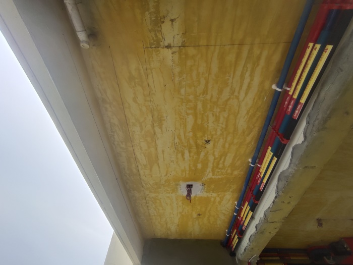 IMG_20201101_083008.jpg