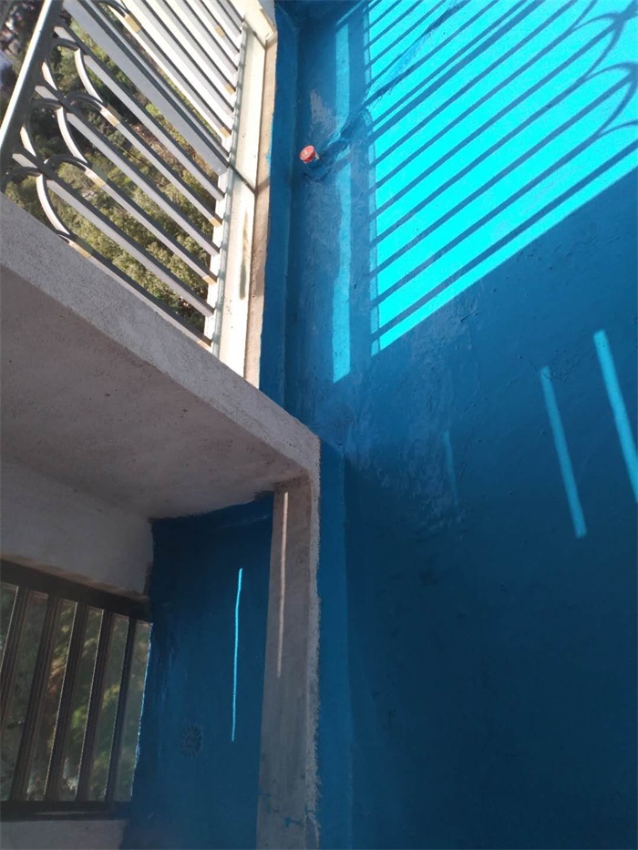 mmexport1604713864546.jpg