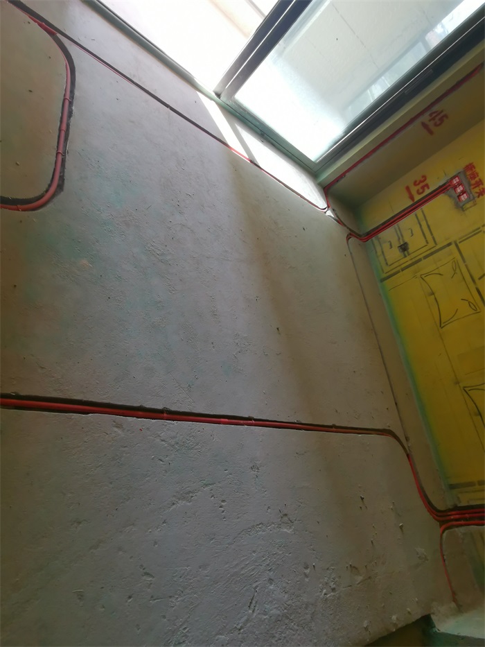 IMG_20201105_100634.jpg