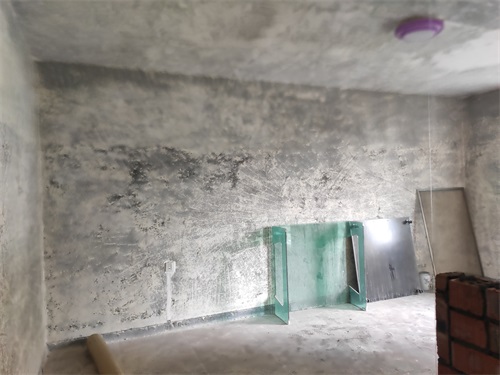 IMG_20201014_121735.jpg