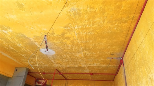 IMG_20201107_091107.jpg