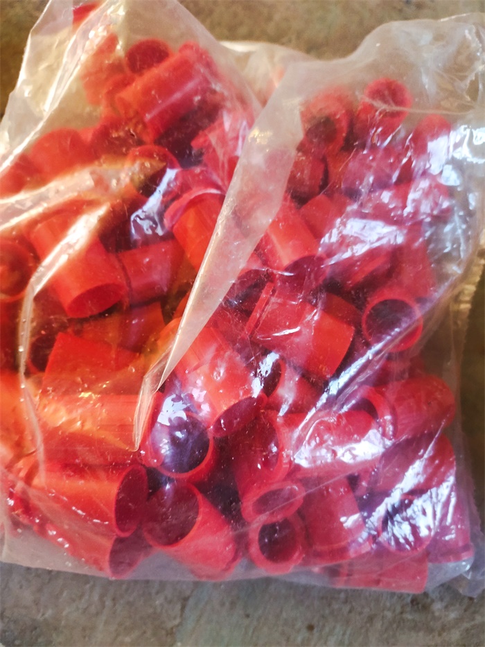 IMG_20201105_091657.jpg