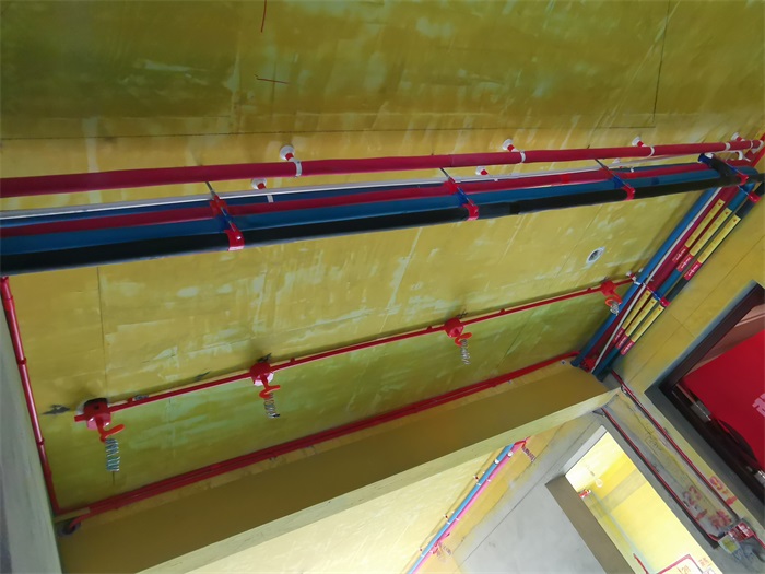 IMG_20201112_091123.jpg
