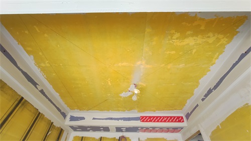 IMG_20201107_101018.jpg