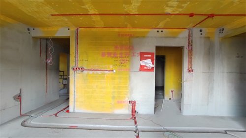 IMG_20201104_155614.jpg