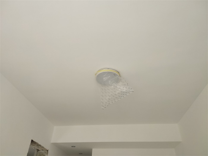 IMG_20201112_094656.jpg