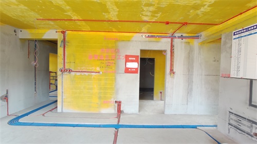 IMG_20201107_105425.jpg