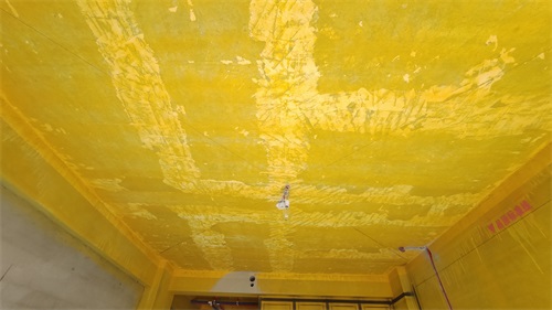 IMG_20201107_105659.jpg