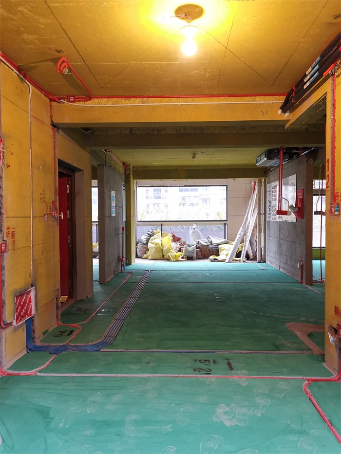 IMG_20201117_090124.jpg