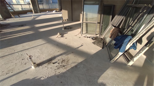 IMG_20201111_160552.jpg