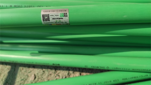 IMG_20201028_113631.jpg
