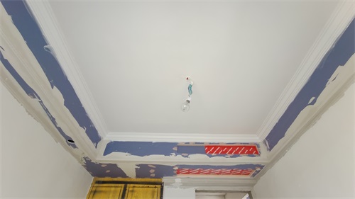 IMG_20201110_085500.jpg