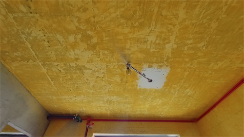 IMG_20201106_090327.jpg