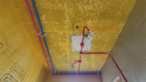 IMG_20201106_090416.jpg