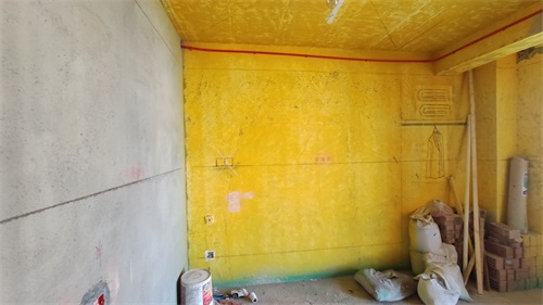 IMG_20201106_090717.jpg