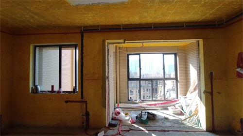 IMG_20201106_091137.jpg