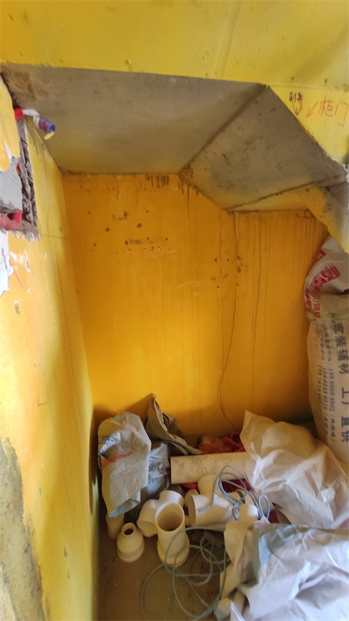 IMG_20201106_091216.jpg