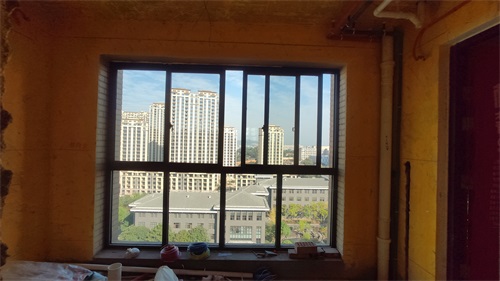 IMG_20201106_091513.jpg