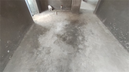 IMG_20201102_145151.jpg