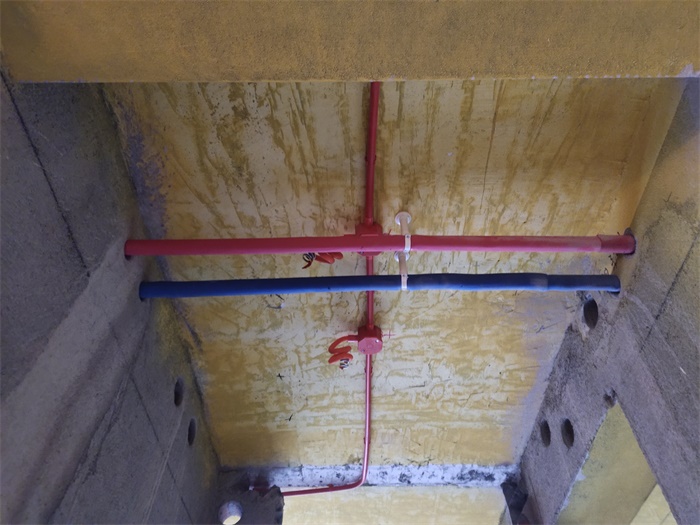 IMG_20201124_132631.jpg