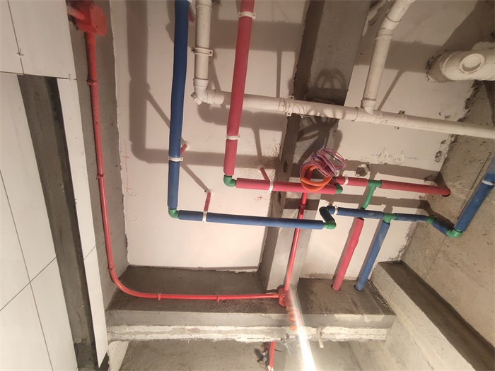 IMG_20201120_084255.jpg