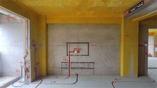 IMG_20201117_084717.jpg