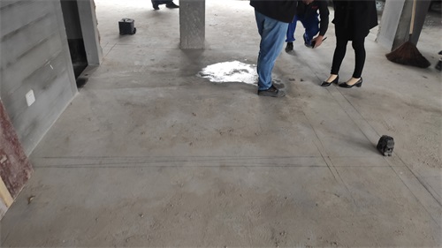 IMG_20201120_142013.jpg