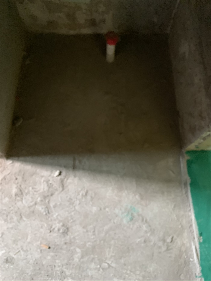 IMG_3505.JPEG