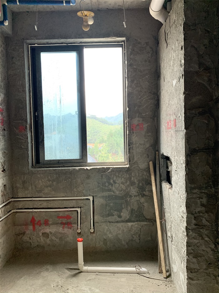 IMG_3513.JPEG