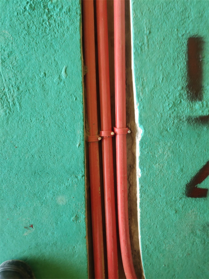 IMG_20201125_135638.jpg