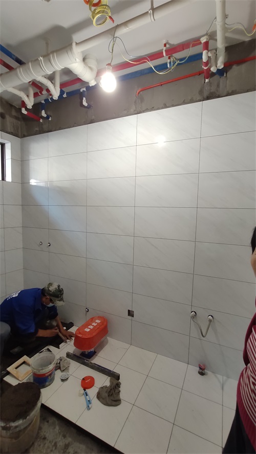 IMG_20201119_092648.jpg