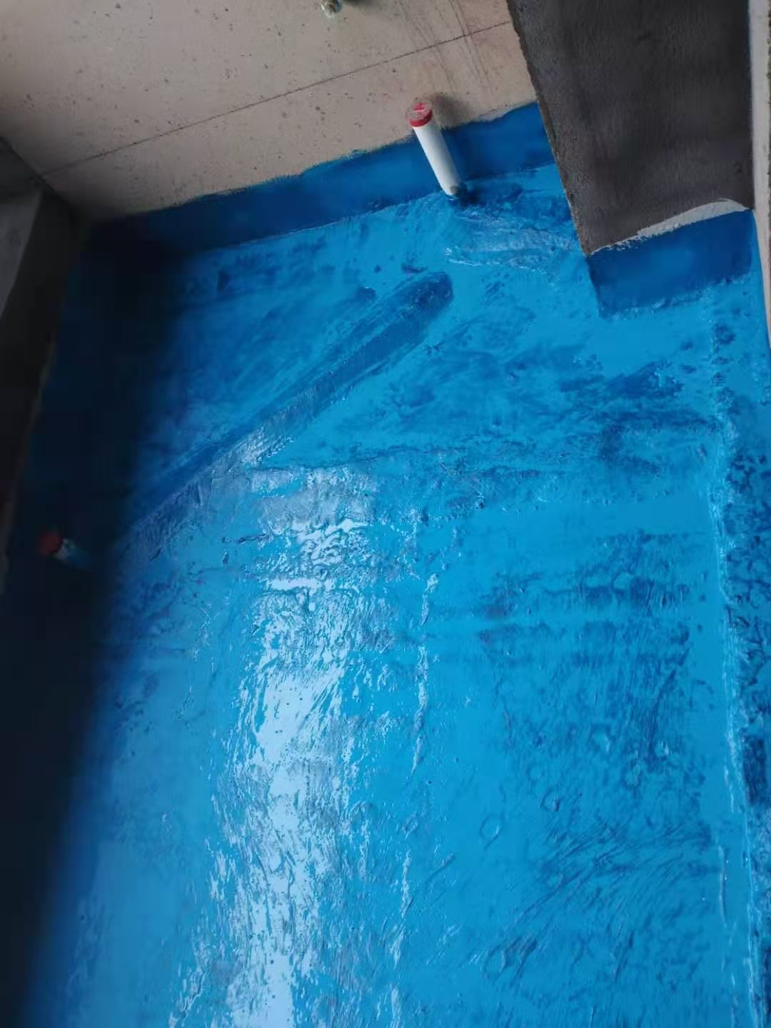 mmexport1606551862778.jpg