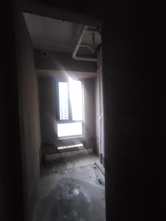 IMG_20201128_153137.jpg