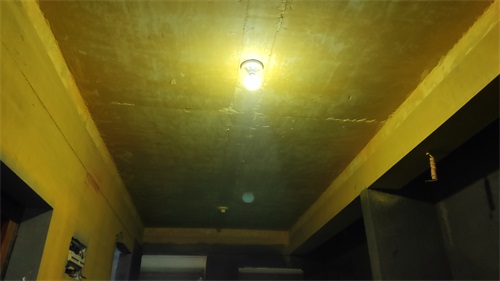 IMG_20201128_151637.jpg