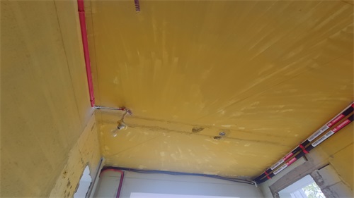 IMG_20201120_101128.jpg