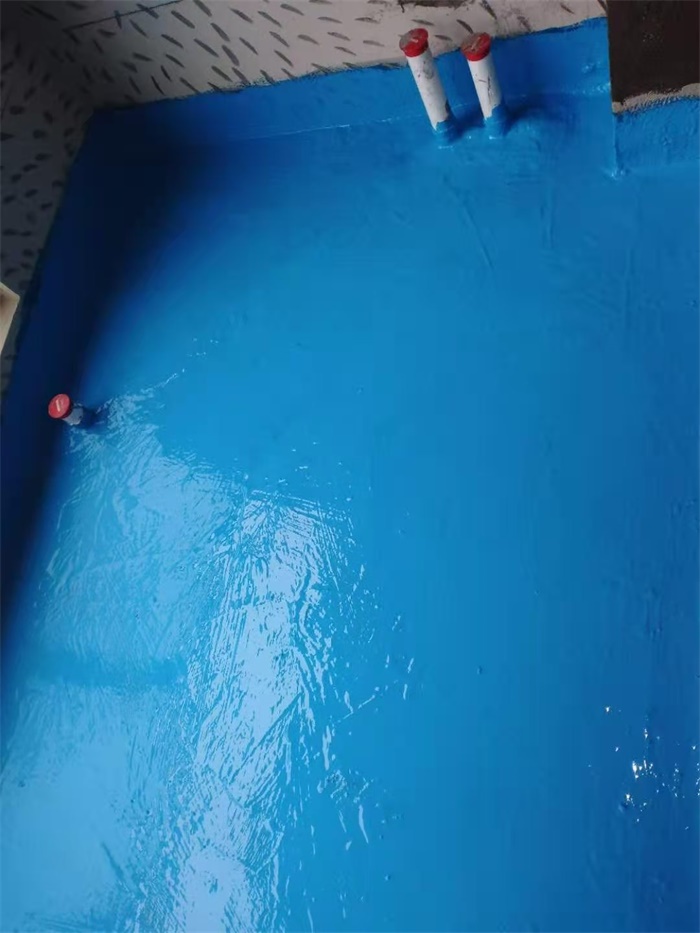 mmexport1606812587905.jpg