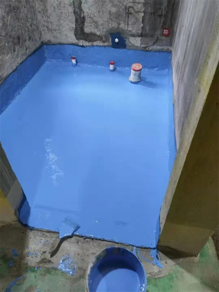 mmexport1606978915463.jpg
