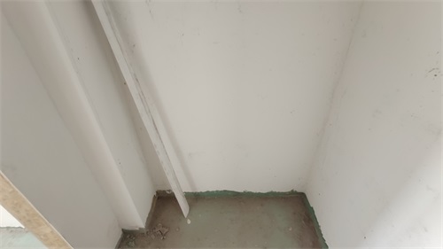 IMG_20201114_090146.jpg