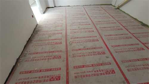IMG_20201114_090426.jpg
